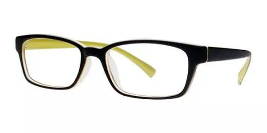 221 Prescription Eyeglasses