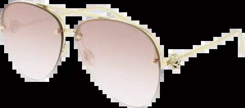Alexander McQueen AM0270S