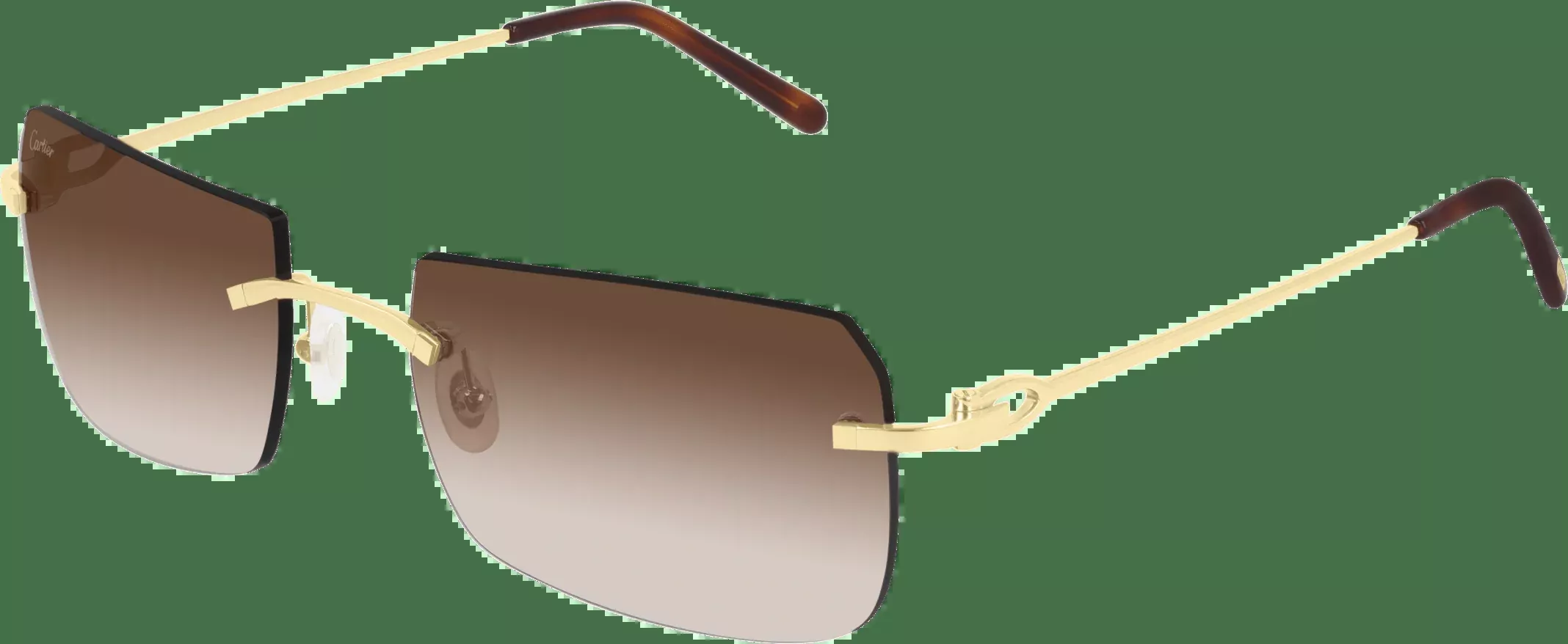 Cartier CT0006RS