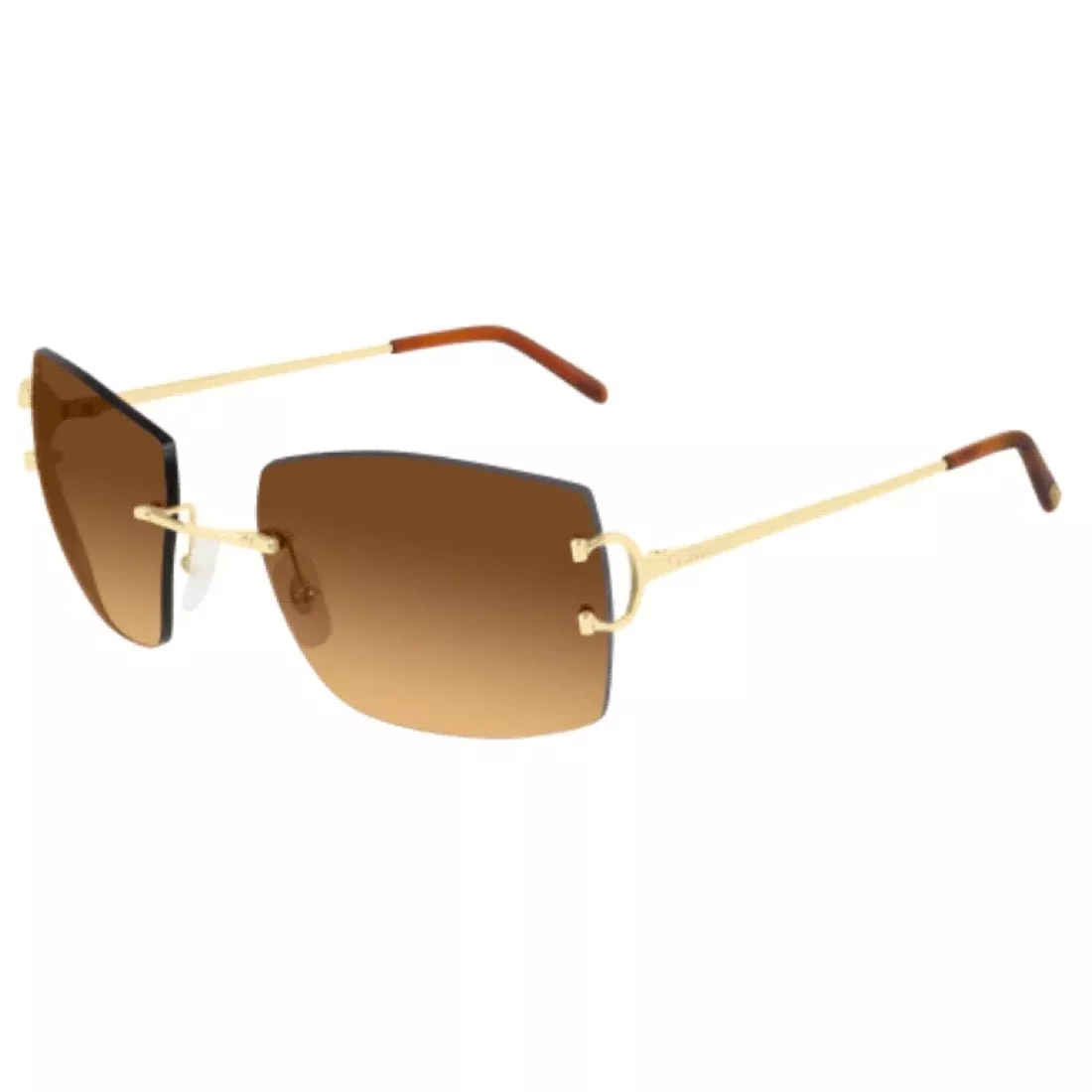 CARTIER - CT0009RS-001