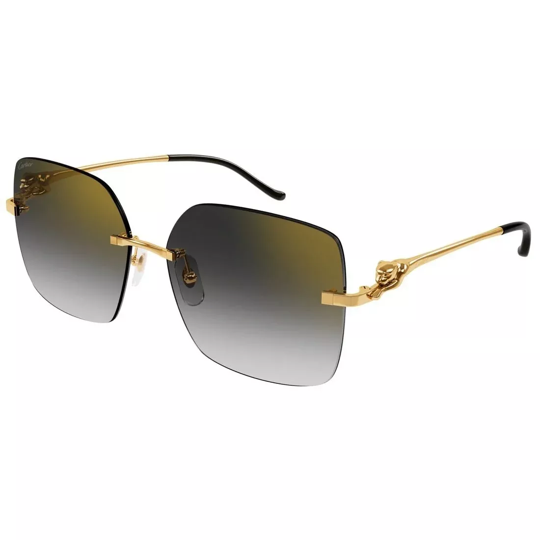 CARTIER - CT0359S-001