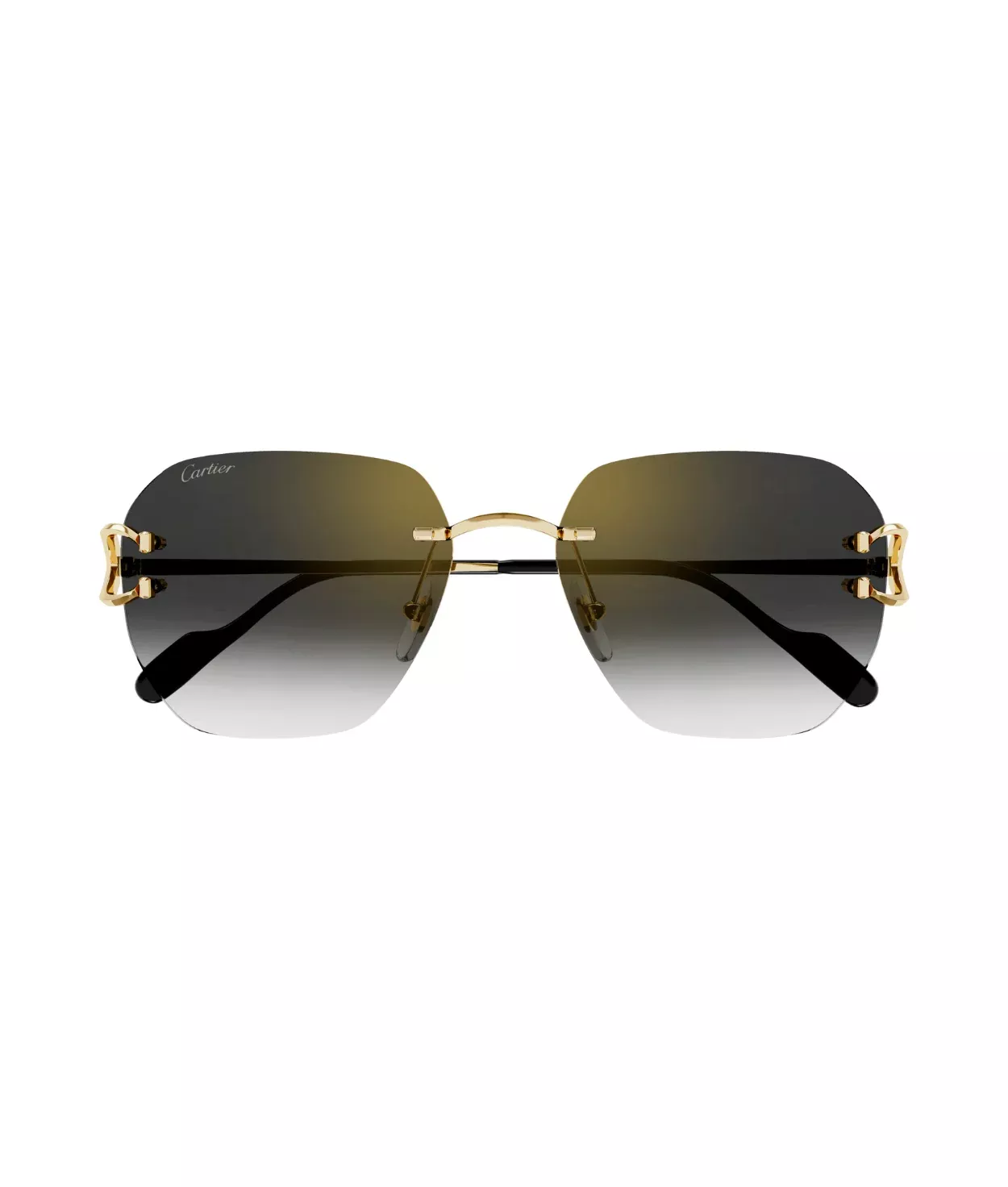 Cartier CT0394S Square Sunglasses