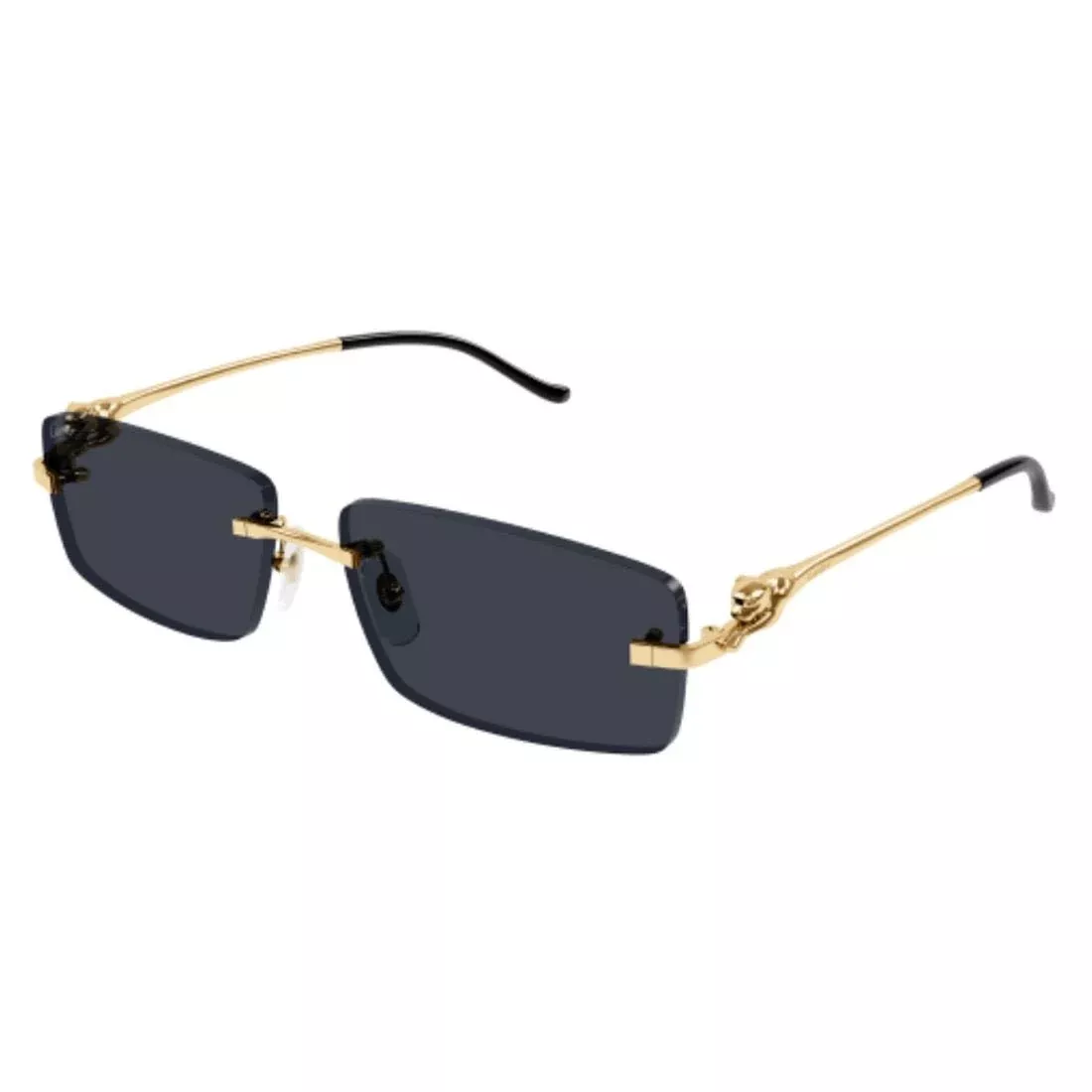 CARTIER - CT0430S-001