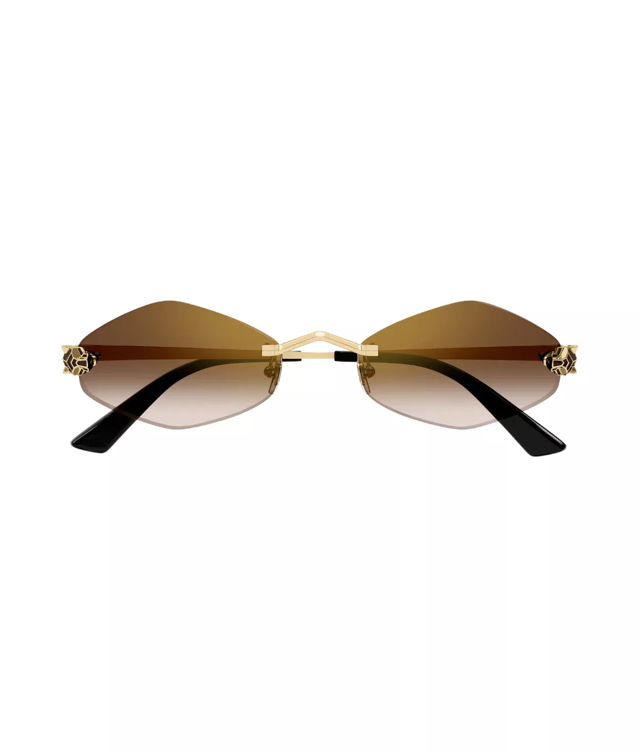 Cartier CT0433S Geometric Sunglasses