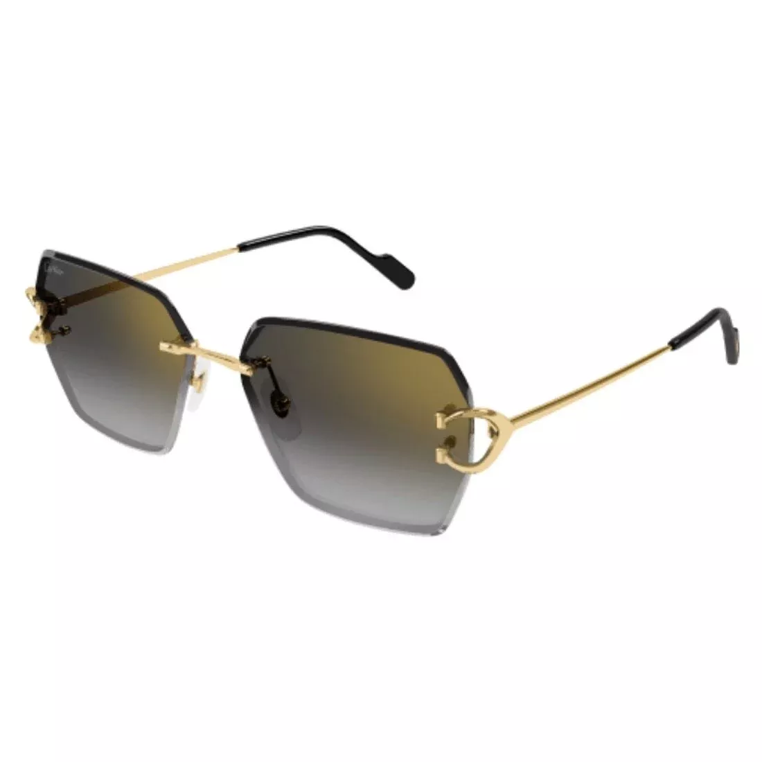 CARTIER - CT0466S-001