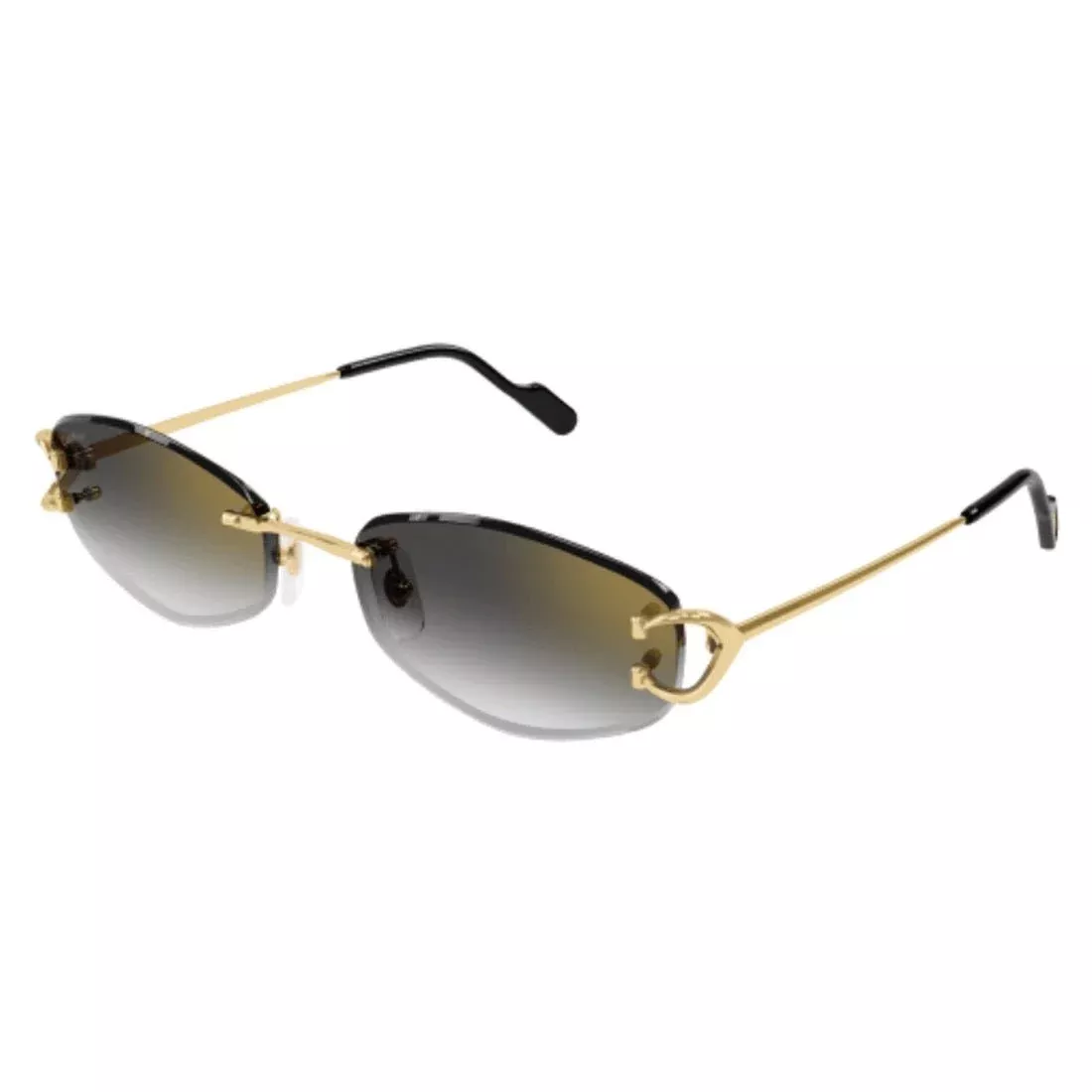 CARTIER - CT0467S-001