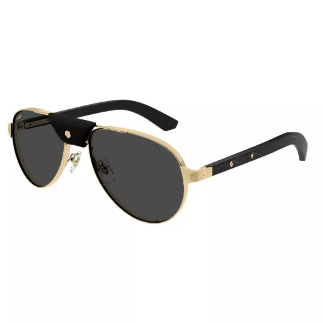 CARTIER - CT0495S-001
