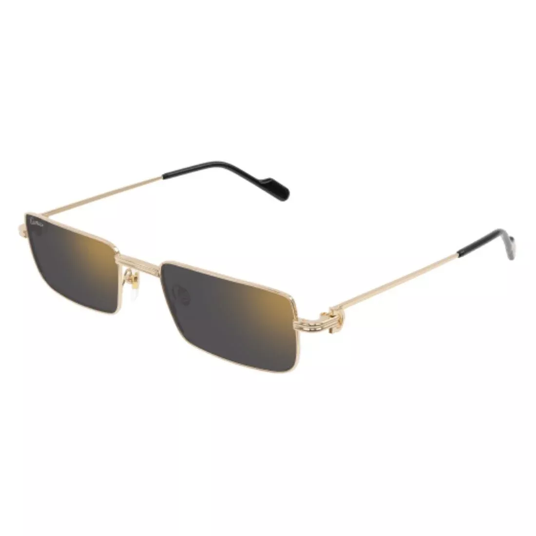 CARTIER - CT0501S-005