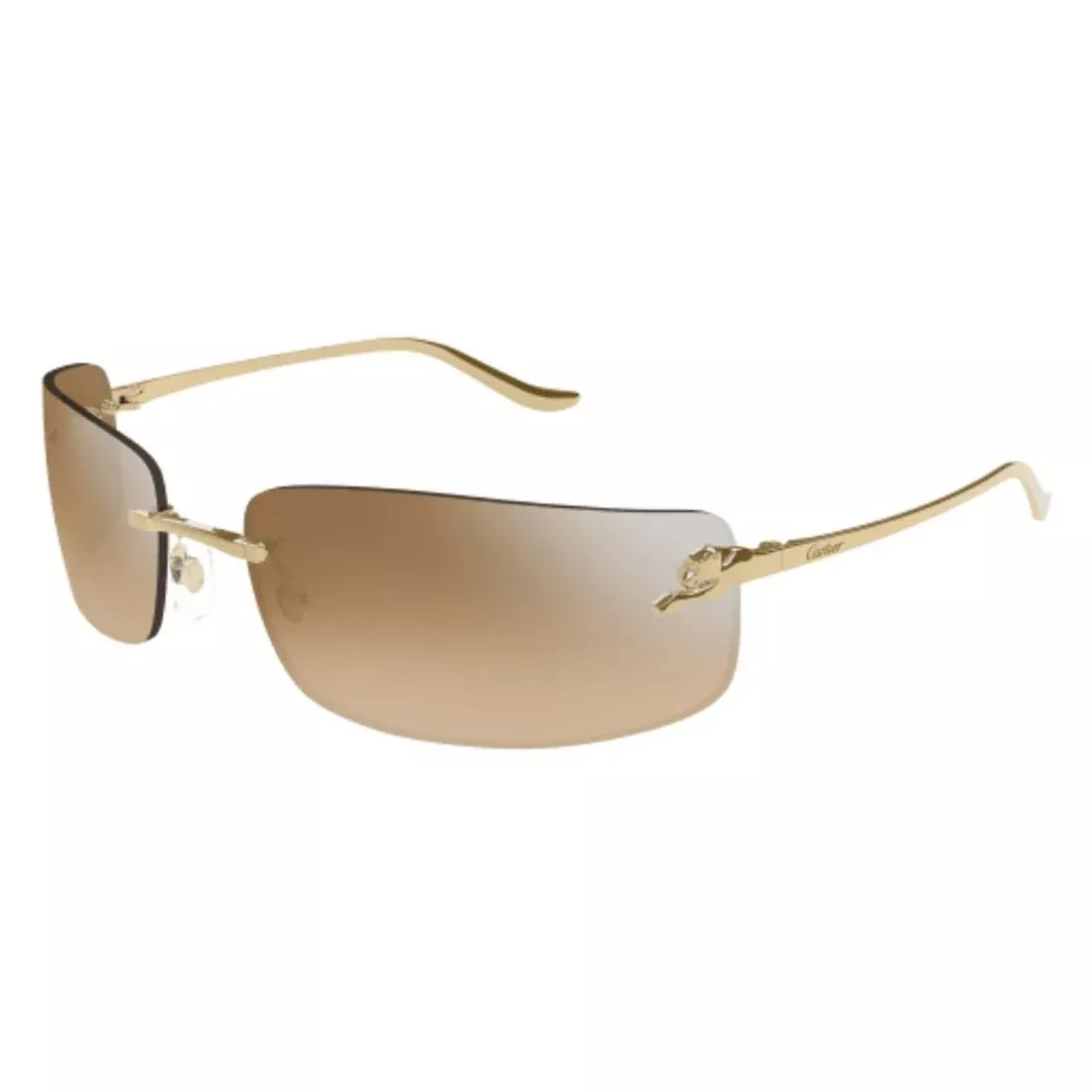 CARTIER - CT0503S-004