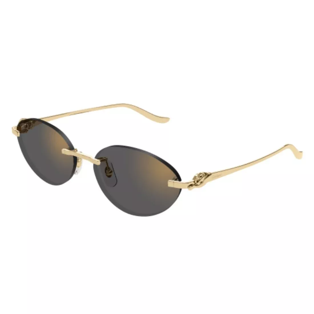 CARTIER - CT0504S-001