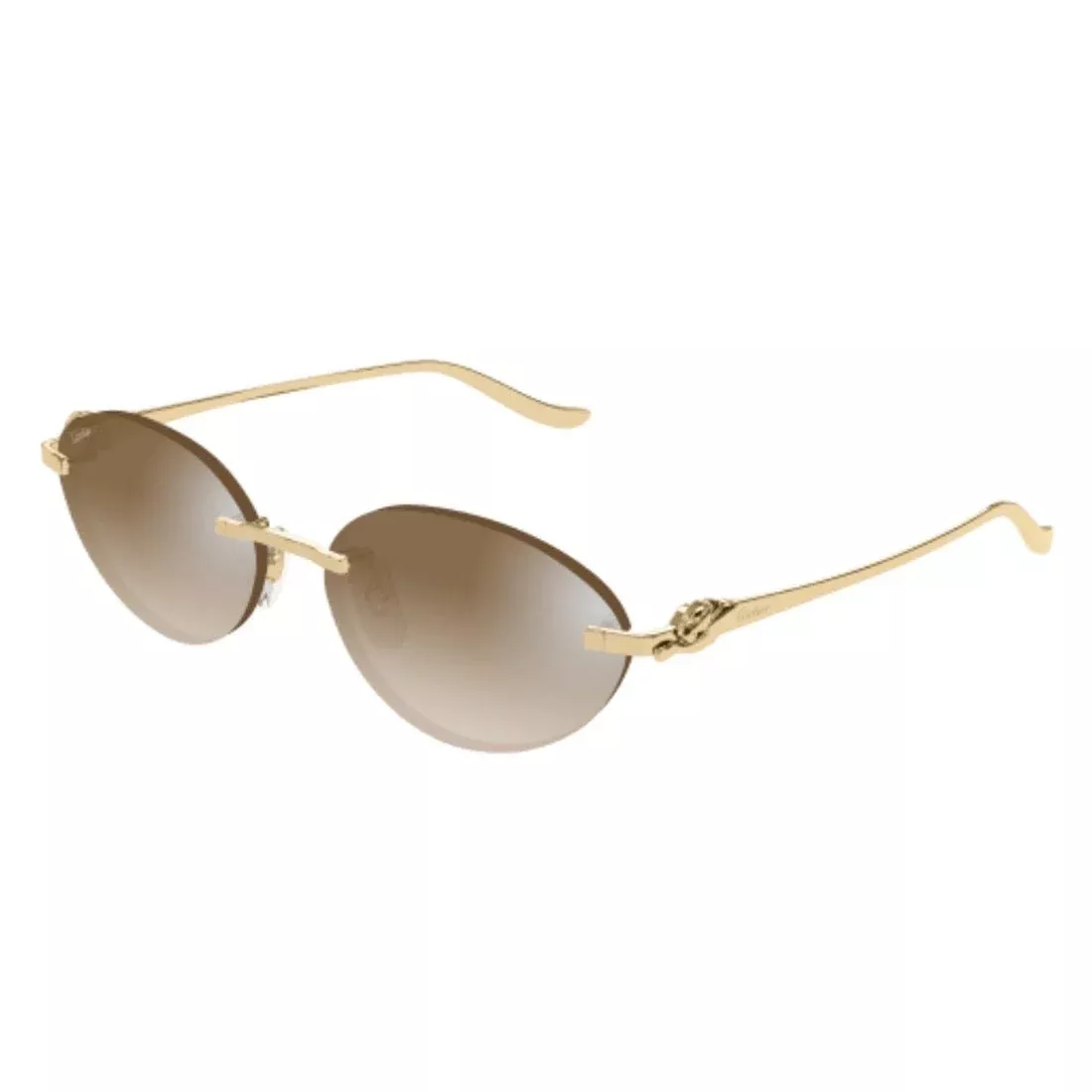 CARTIER - CT0504S-003