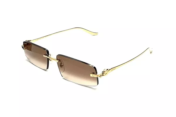 CARTIER - CT0505S-003