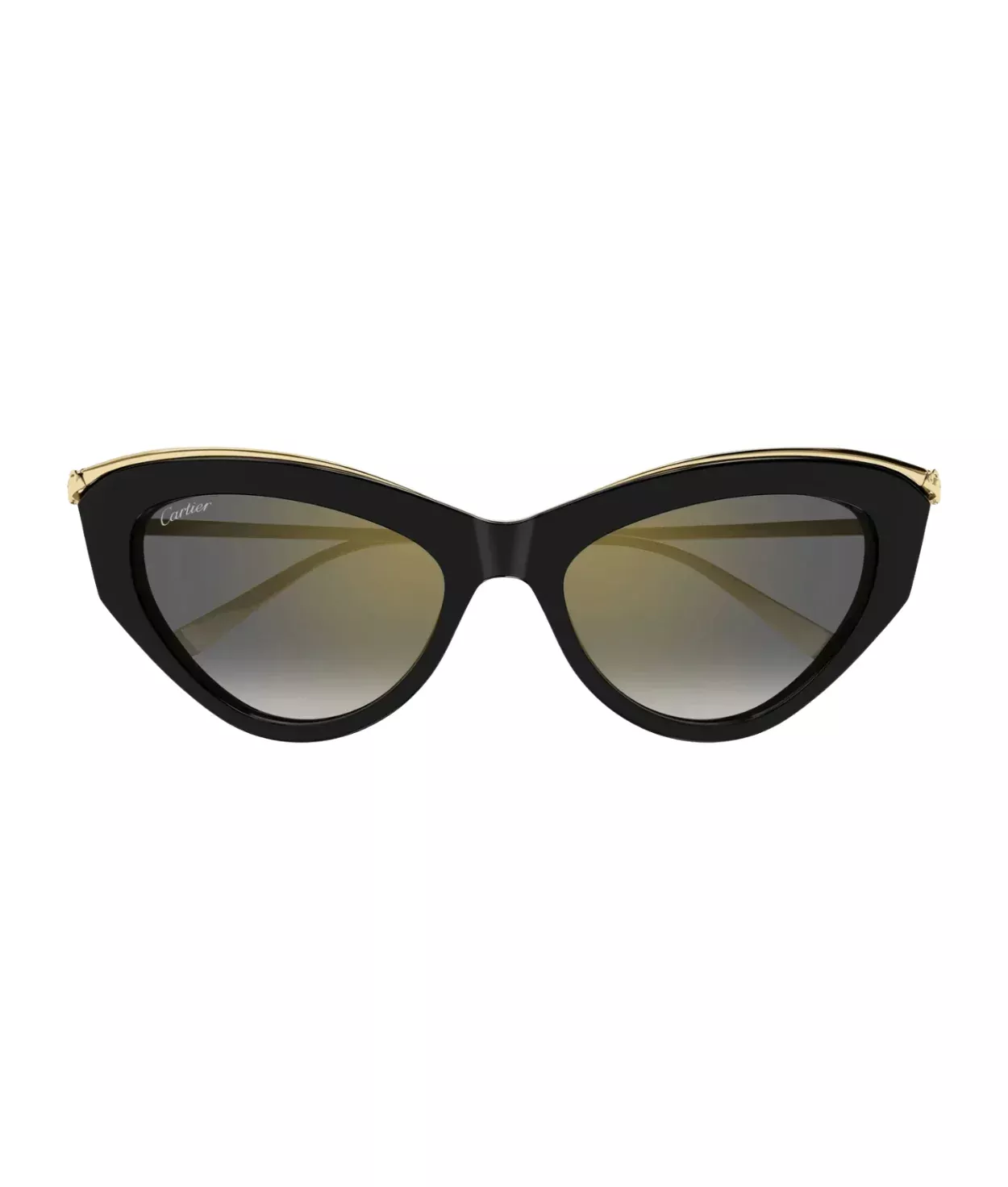 Cartier CT0596S Rectangle Sunglasses