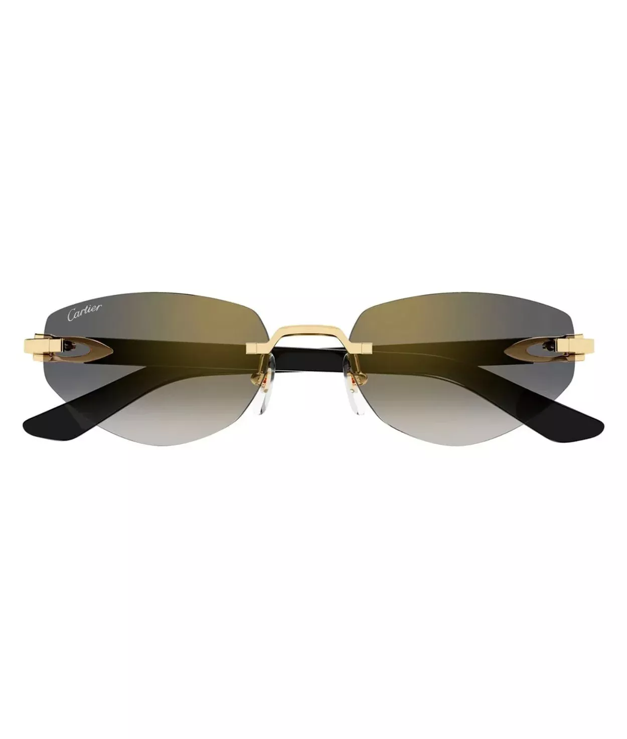 Cartier Decor C CT0580S Geometric Sunglasses