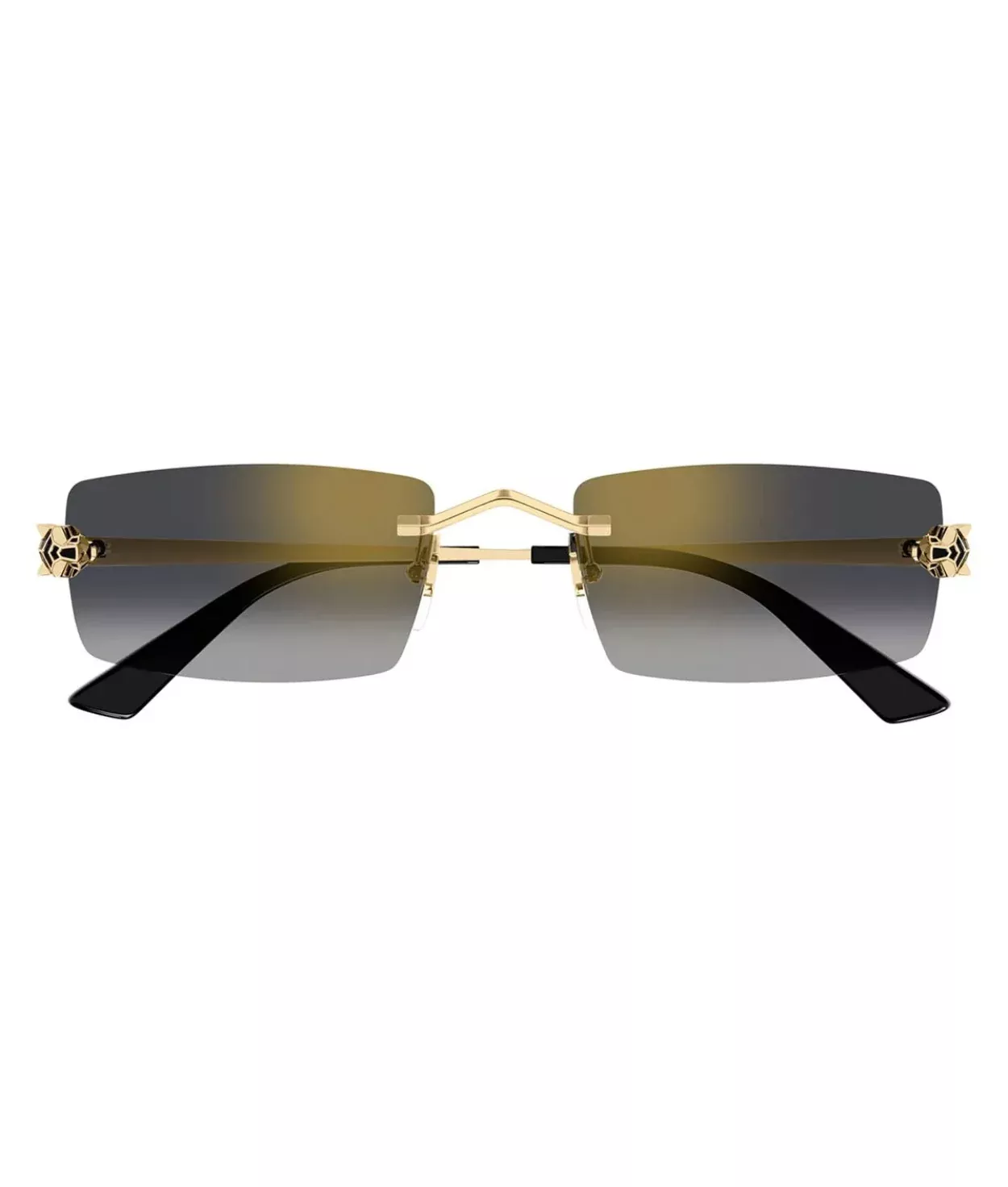 Cartier Panthere Classic CT0598S Rectangle Sunglasses