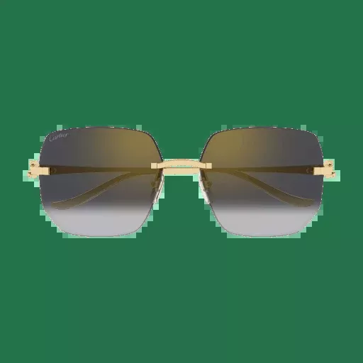 Cartier Panthere CT0549S Rectangular Sunglasses