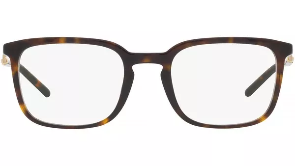 DG 3349 502 tortoise