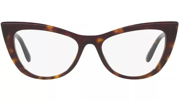 DG 3354 502 tortoise