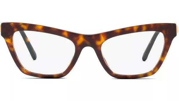 DG 3359 502 tortoise