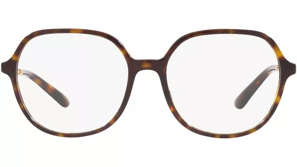 DG 3364 502 tortoise