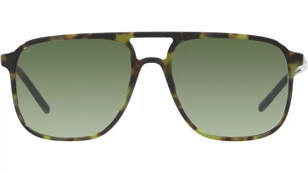 DG 4423 17358E tortoise