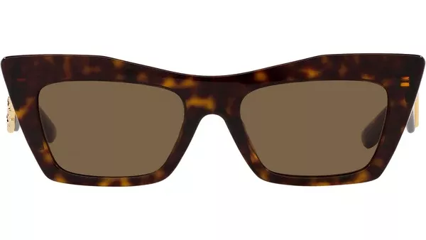 DG 4435 502/73 Tortoise Brown