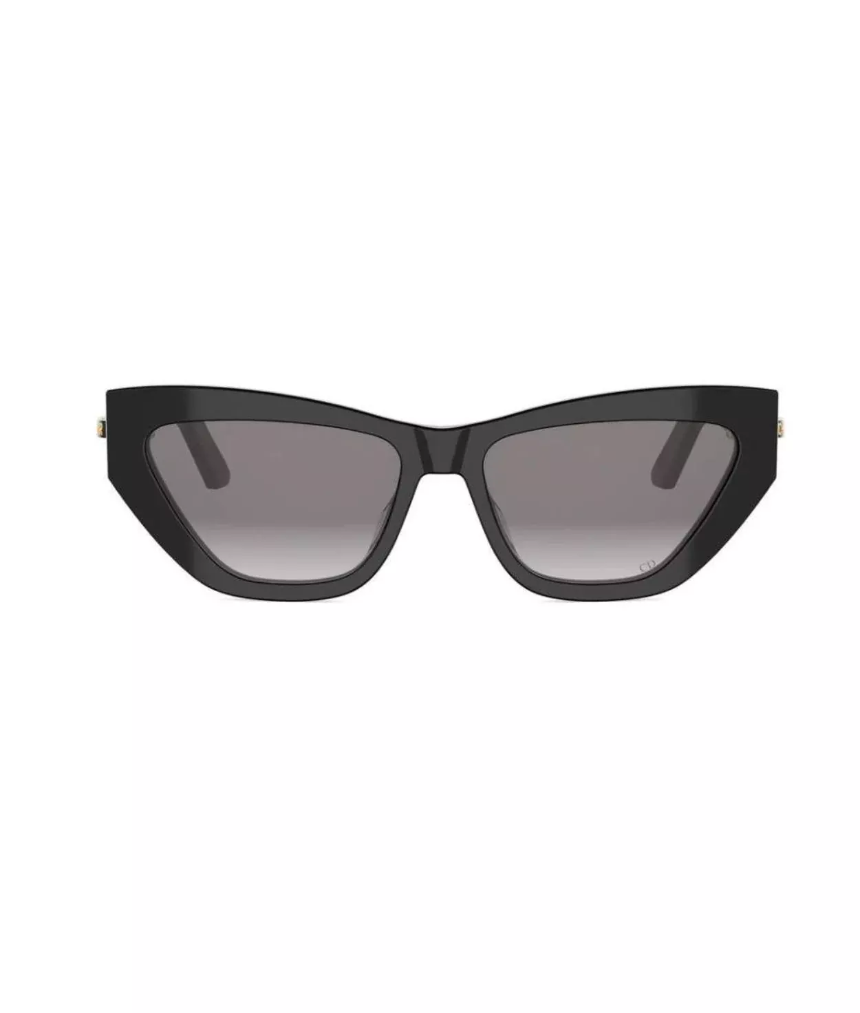 Dior CDIOR B6F Round Sunglasses
