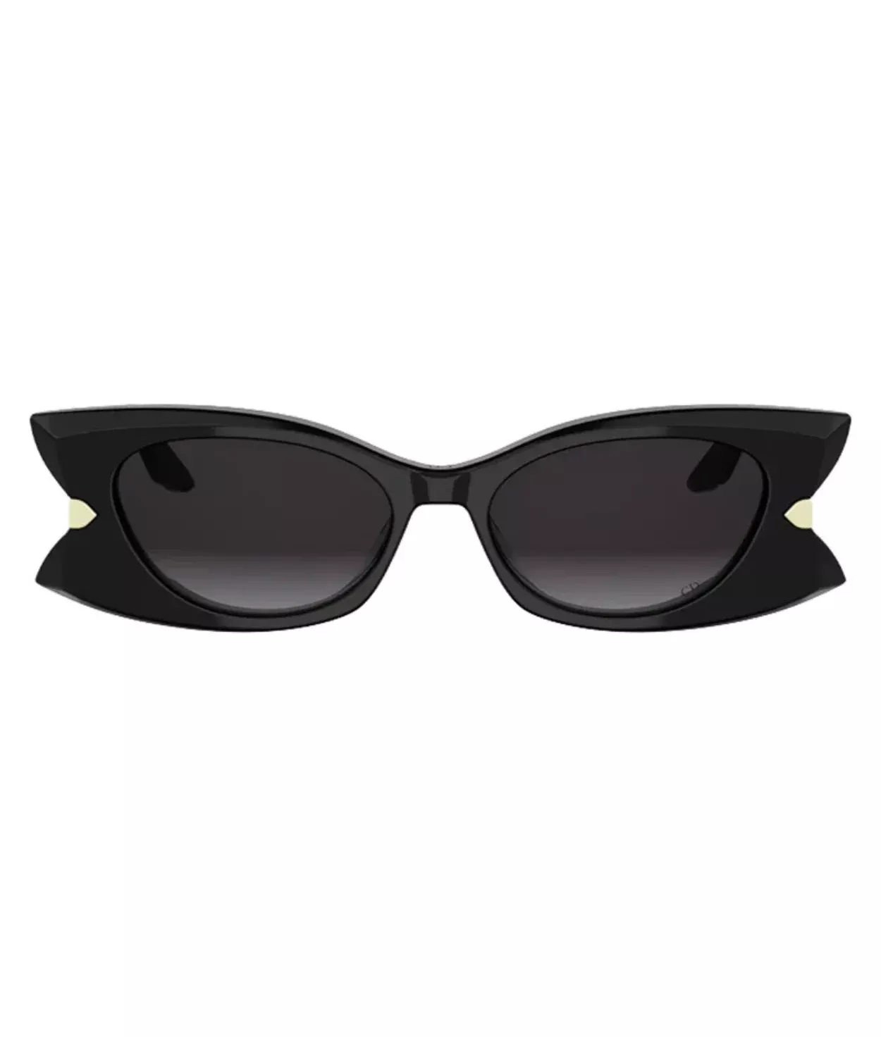 Dior DIORBUTTERFLY S2F Butterfly Sunglasses