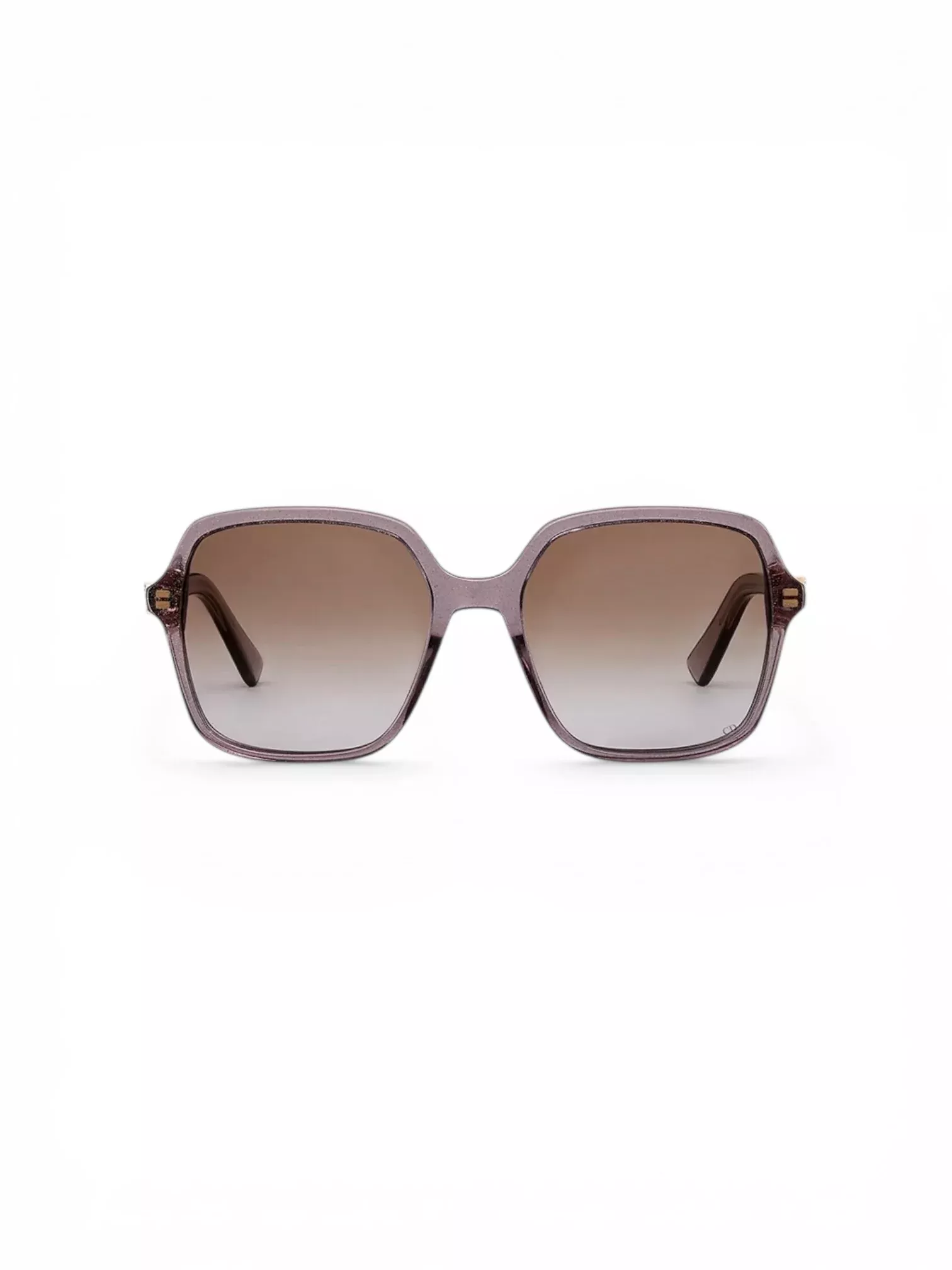 DiorTreasure S1I Sunglasses
