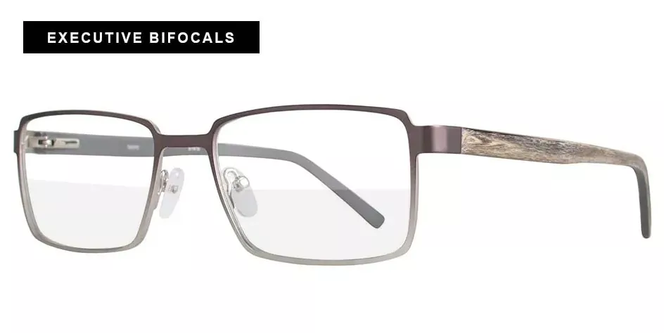 Executive Bifocal Glasses EyeQ Buxton BX25