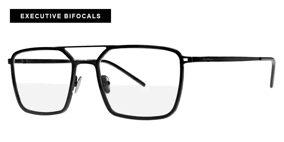 Executive Bifocal Glasses Vistanza 2006