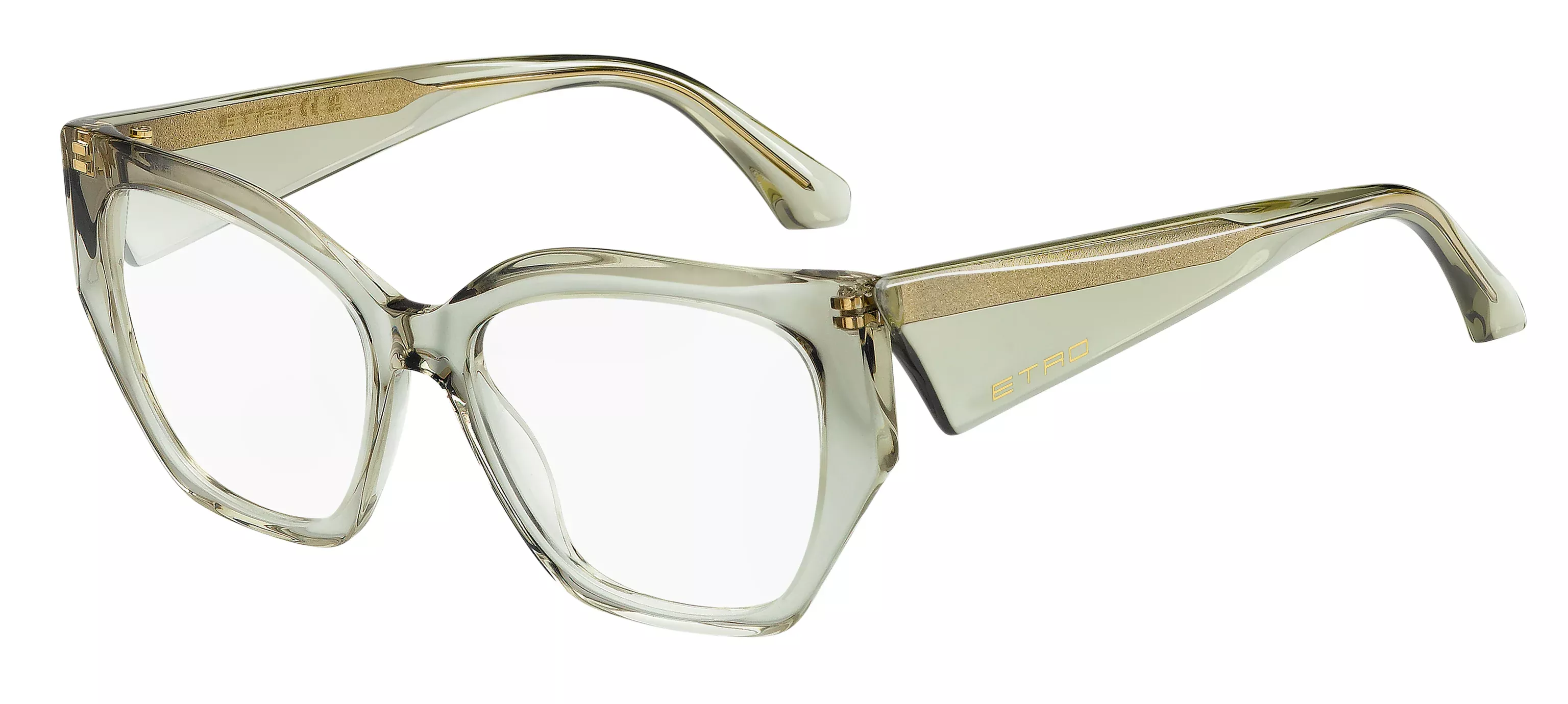 Gafas graduadas ETRO 0125
