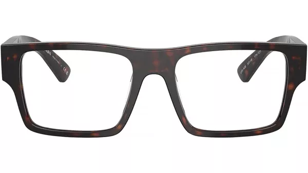 PR A08V 17N1O1 Tortoise