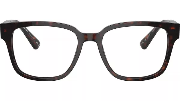 PR A09V 17N1O1 Tortoise