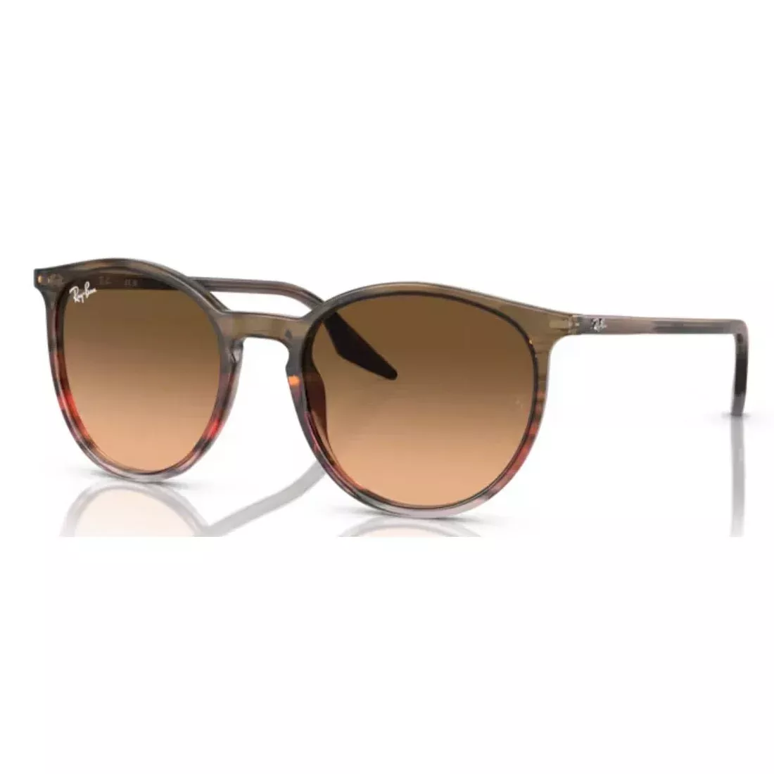 RAY-BAN - RB2204 13953B