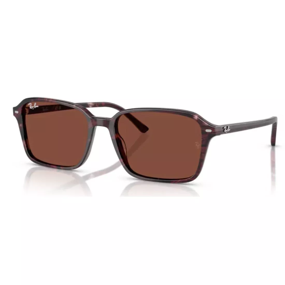 RAY-BAN - RB2231 - Raimond 1416C5