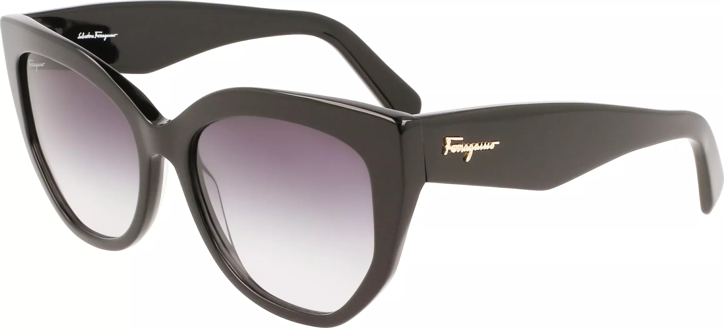 Salvatore Ferragamo SF1061S