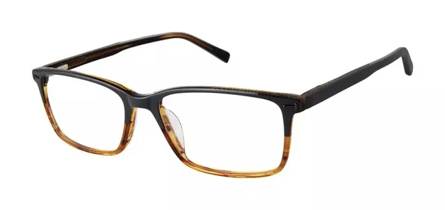 TED BAKER OPTICAL TFM013 Eyeglasses
