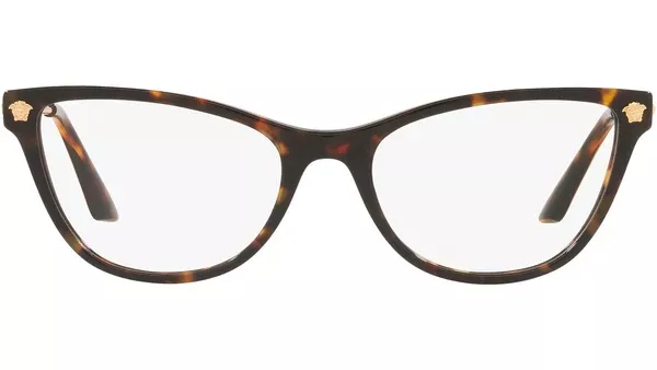 VE3309 108 tortoise
