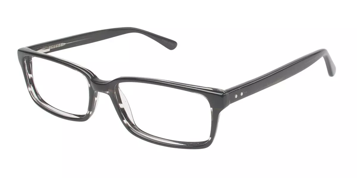 Vision's 202 Eyeglasses