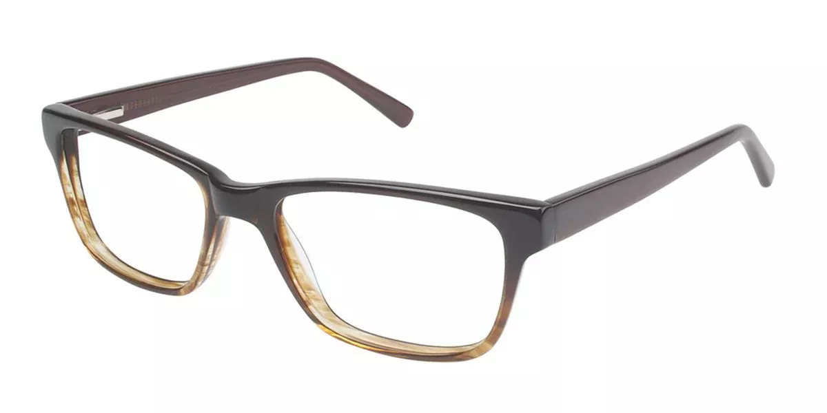 Vision's 204 Eyeglasses