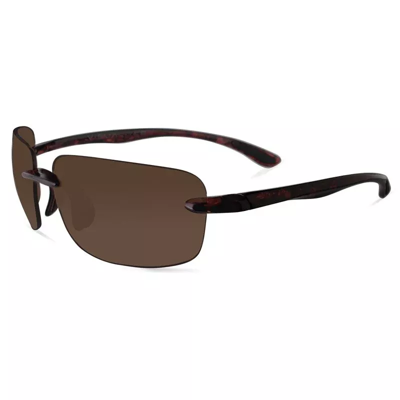 Visualites Sunglass Reader 1