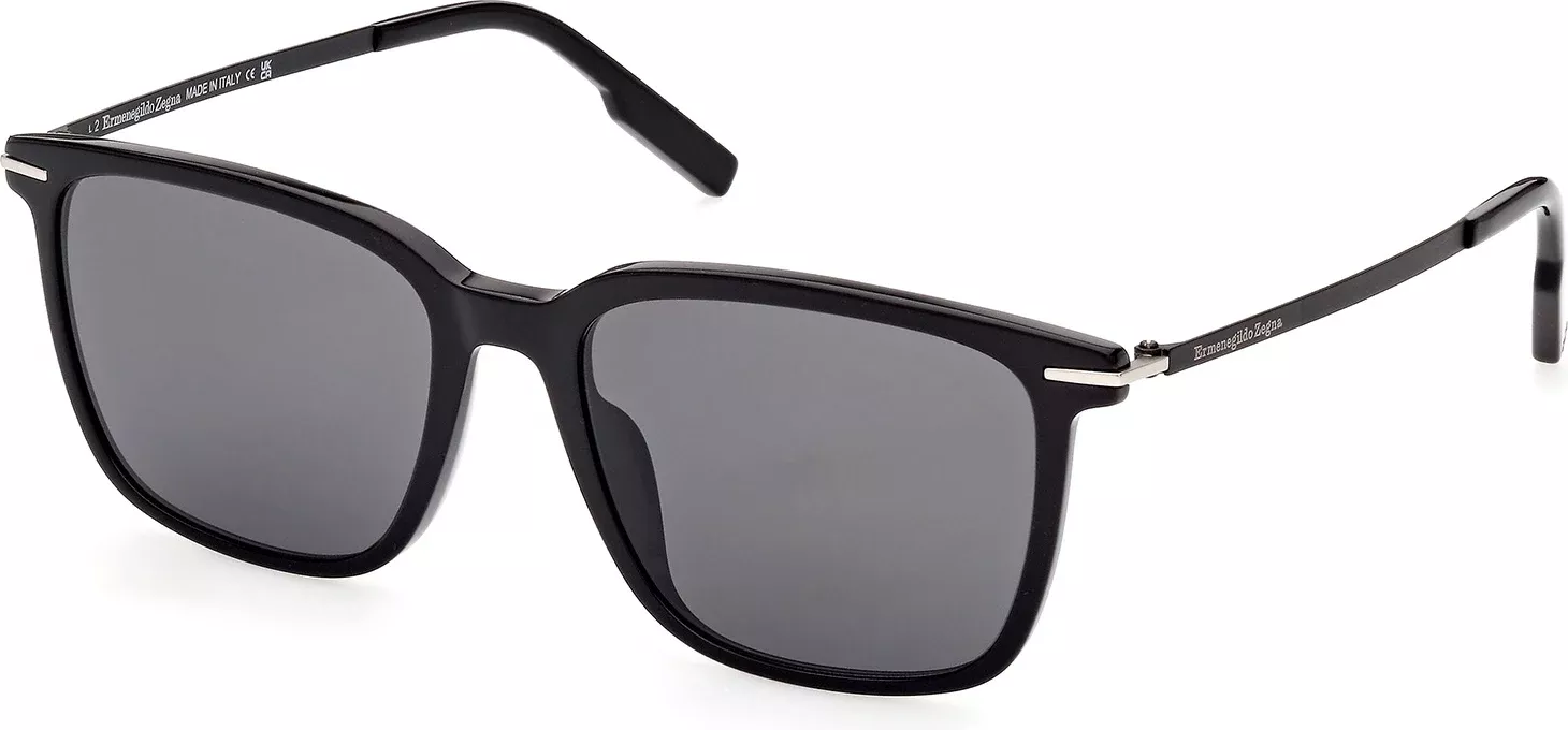 Zegna EZ0206